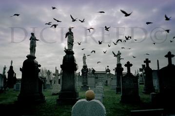 nycemetarylrg