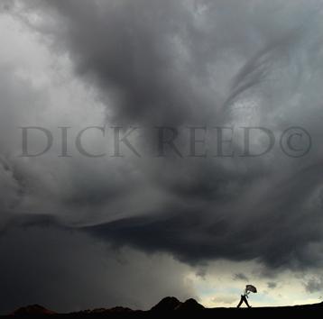 stormwalklrg