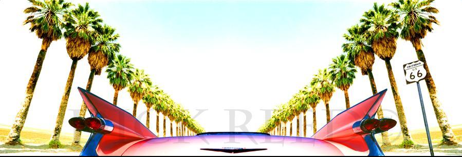 palmspringscaddy